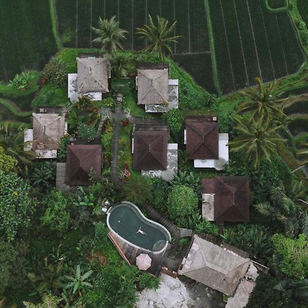 Tirta Sari Villa Tampaksiring Kültér fotó