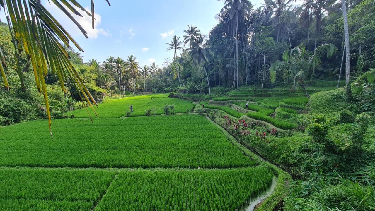 Tirta Sari Villa Tampaksiring Kültér fotó