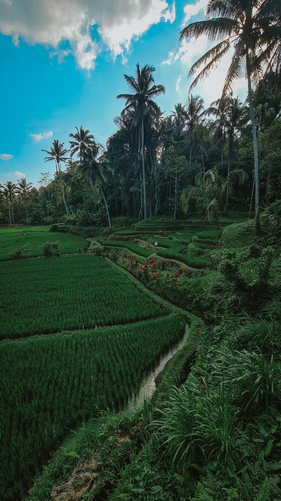 Tirta Sari Villa Tampaksiring Kültér fotó