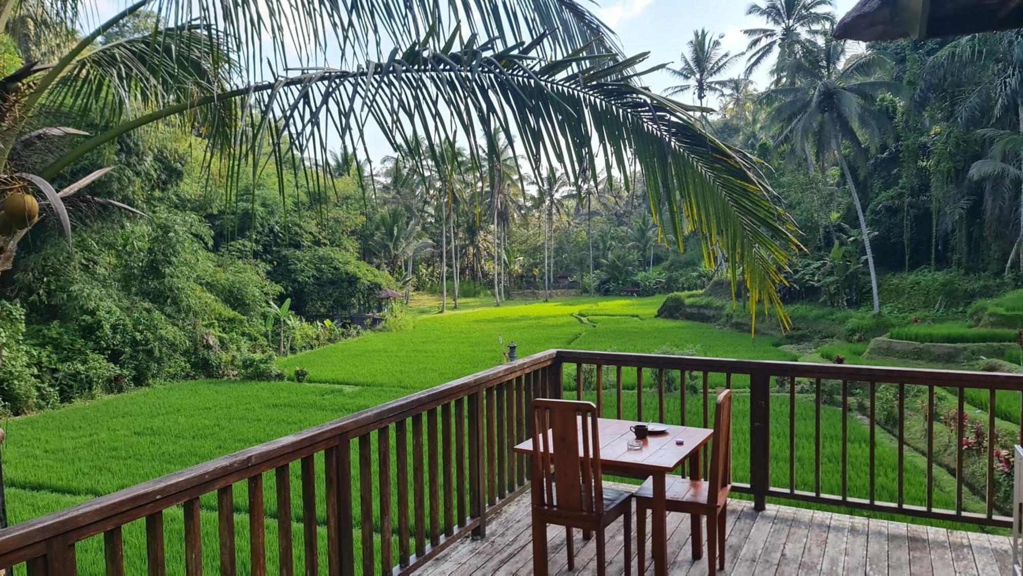 Tirta Sari Villa Tampaksiring Kültér fotó