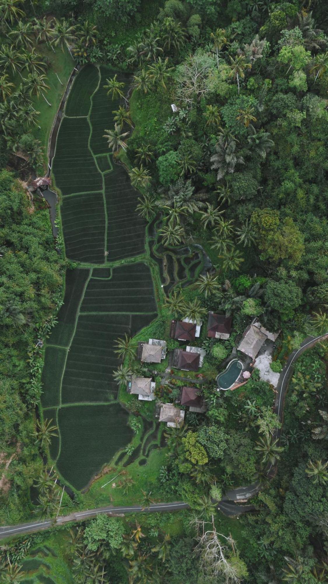 Tirta Sari Villa Tampaksiring Kültér fotó